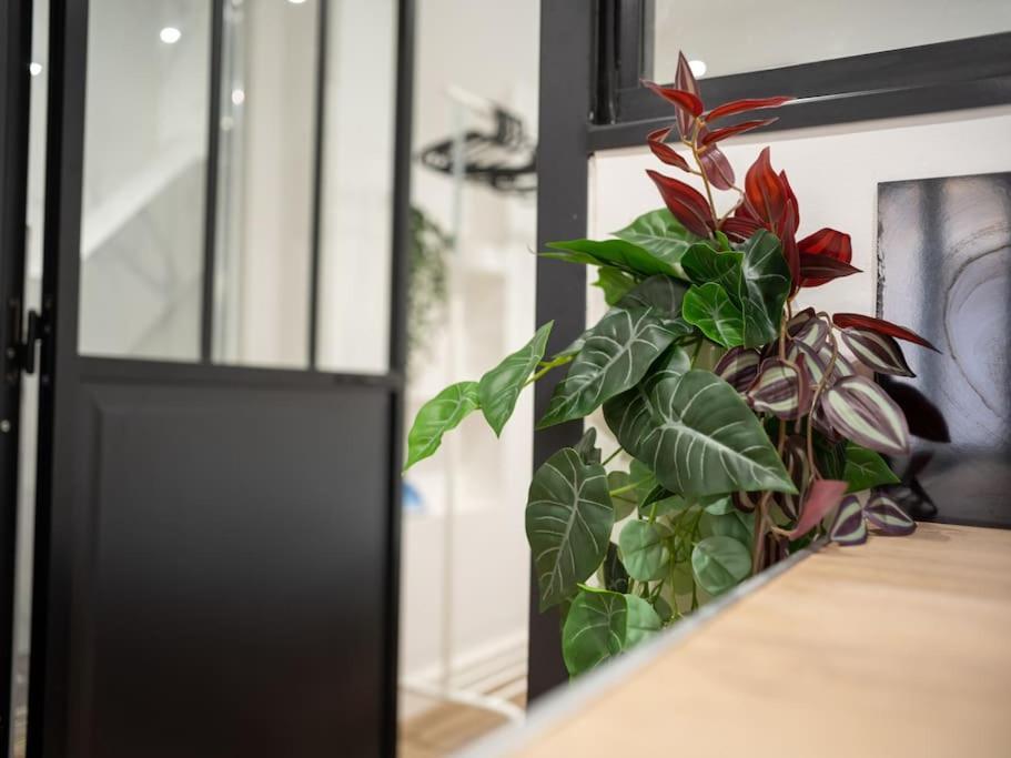 Appartement Tout Equipe Au Coeur Du Panier Vieux Port Marsylia Zewnętrze zdjęcie